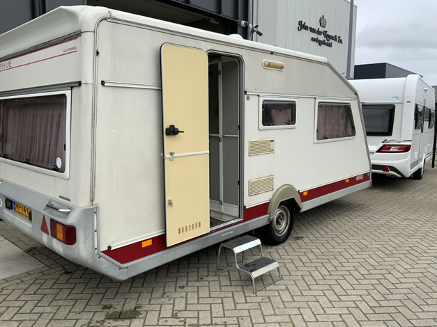 Kip Grey Line 50 Hemelvaartsdag open (1043252)